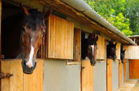 free South Tawton stable construction quotes